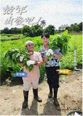 王牌对王牌 综艺 星空电影网